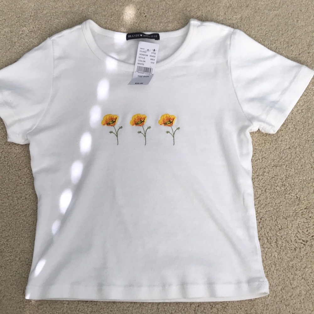 Brandy Melville Crop Top